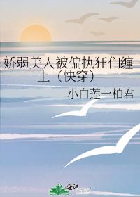 �������˱�ƫִ���ǲ��ϣ��촩��