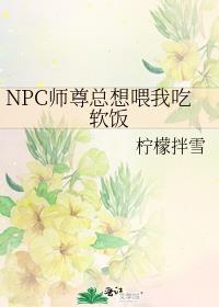 NPCʦ������ι�ҳ�����