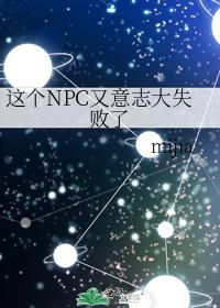 ���NPC����־��ʧ����