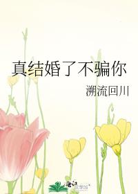 �����˲�ƭ��