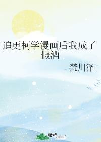 追更柯学漫画后我成了假酒