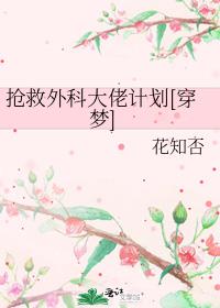 ������ƴ��мƻ�[����]