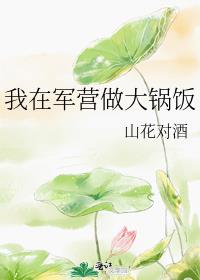 我在军营做大锅饭