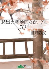 爬出火葬场的女配(快穿)