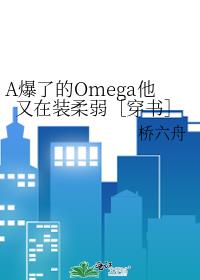 A���˵�Omega������װ�����۴����