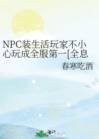 NPCװ������Ҳ�С�����ȫ����һ[ȫϢ]