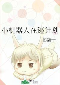 小机器人在逃计划