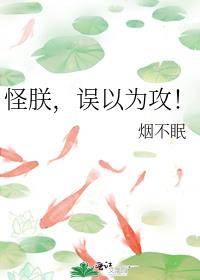 怪朕,误以为攻!