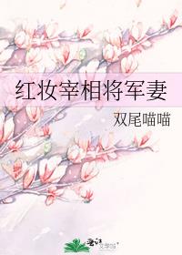 红妆宰相将军妻