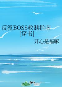����BOSS����ָ��[����]