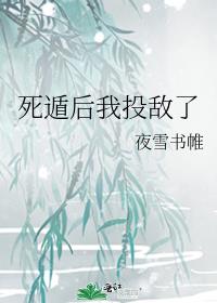 ���ݺ���Ͷ����