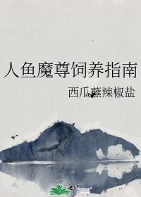 ����ħ������ָ��