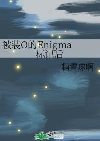��װO��Enigma��Ǻ�