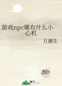 ��Ϸnpc����ʲôС�Ļ�