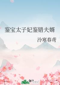 鉴宝太子妃鉴错夫婿