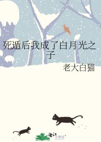 ���ݺ��ҳ��˰��¹�֮��