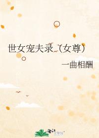 世女宠夫录(女尊)