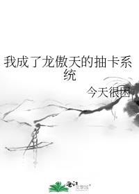 �ҳ���������ĳ鿨ϵͳ