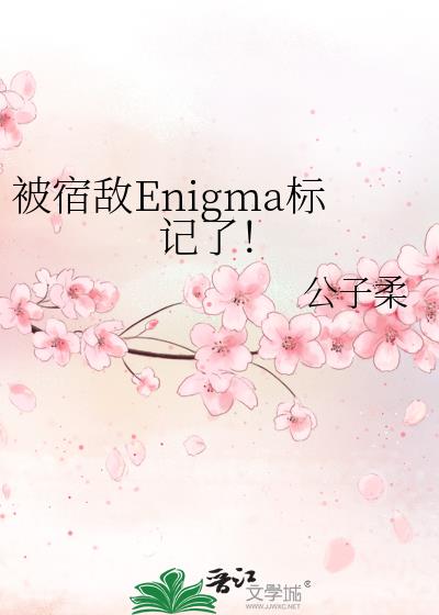 ���޵�Enigma����ˣ�