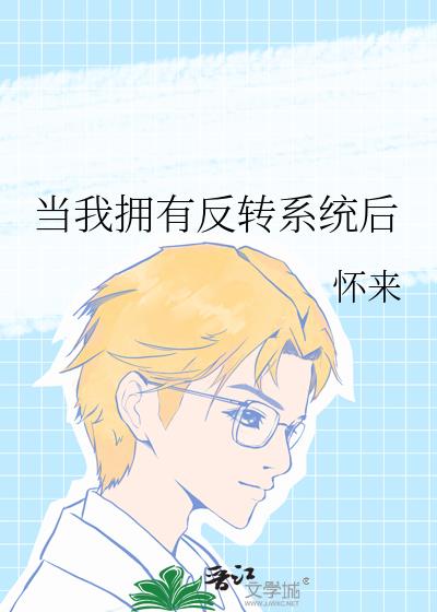当我拥有反转系统后