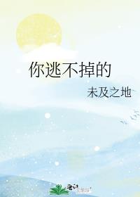 ���Ӳ�����