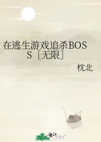 ��������Ϸ׷ɱBOSS�����ޣ�