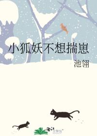 С�������봧��