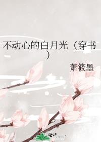 �����ĵİ��¹⣨���飩