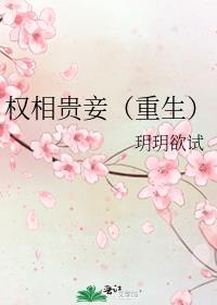 Ȩ���檣�������